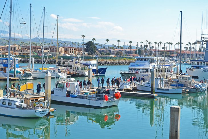 things to do in ventura